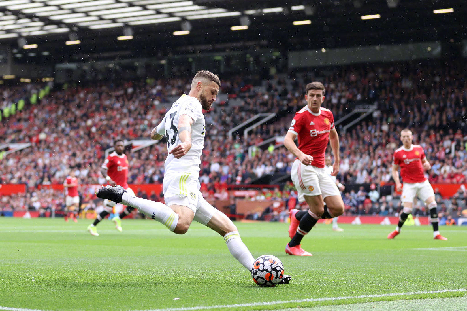 球市场中 球市场中